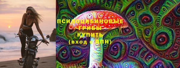 ГАЛЛЮЦИНОГЕННЫЕ ГРИБЫ Гусь-Хрустальный